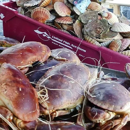 Baie Du Mont Saint Michel - Maison Bord De 펜션